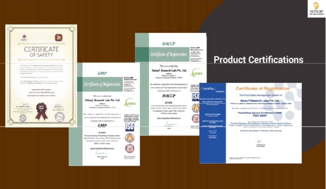 NetSurf Products